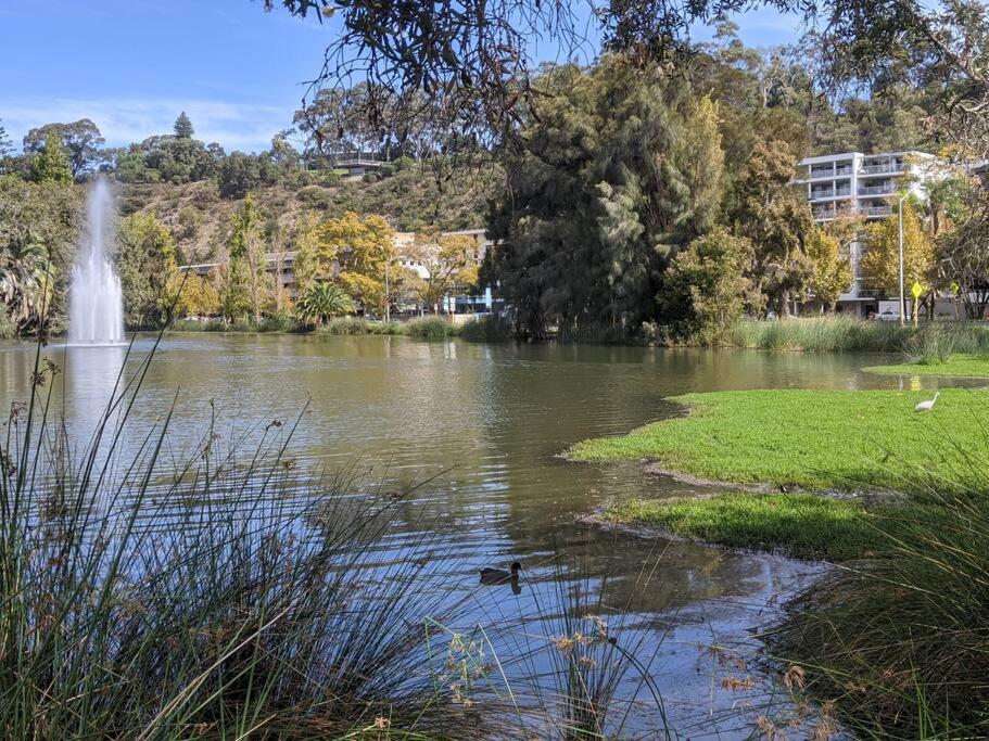 City & Lakeside With Free Parking, Pool And 10 Mins Walk Into The City Περθ Εξωτερικό φωτογραφία